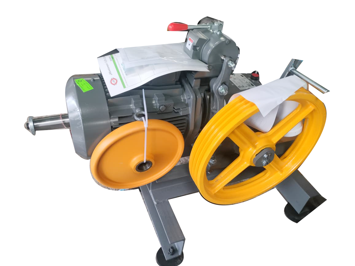 Montanari Motor Geared